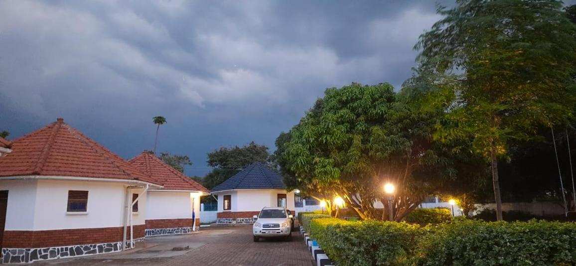 Northern Pearl Gulu Buitenkant foto